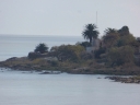 image~114.jpg