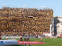 image~173.jpg