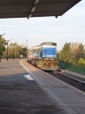 image~204.jpg