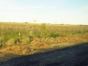 image~258.jpg