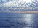 image~478.jpg