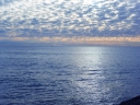 image~479.jpg