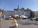 image~511.jpg