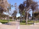 image~661.jpg