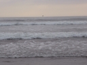 image~709.jpg